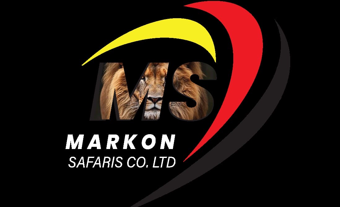 Markon Safaris